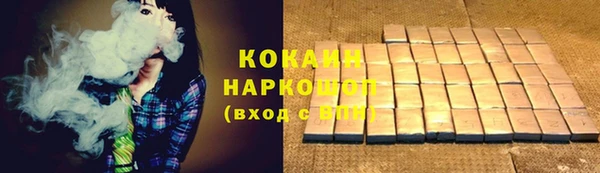 индика Богородицк