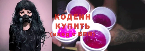 индика Богородицк