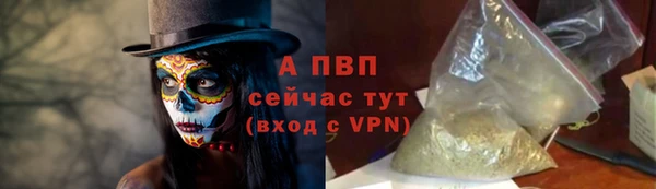 индика Богородицк