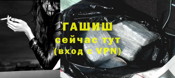 индика Богородицк