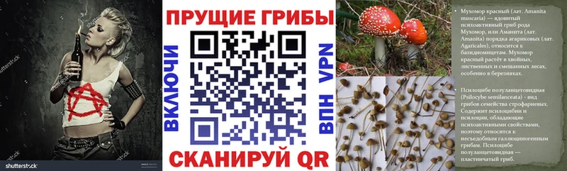 Галлюциногенные грибы MAGIC MUSHROOMS Камбарка